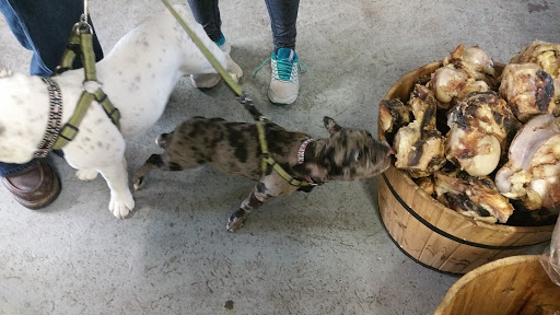 Pet Supply Store «Cheshire Cat & Dog Too», reviews and photos, 1320 Waterbury Rd, Cheshire, CT 06410, USA