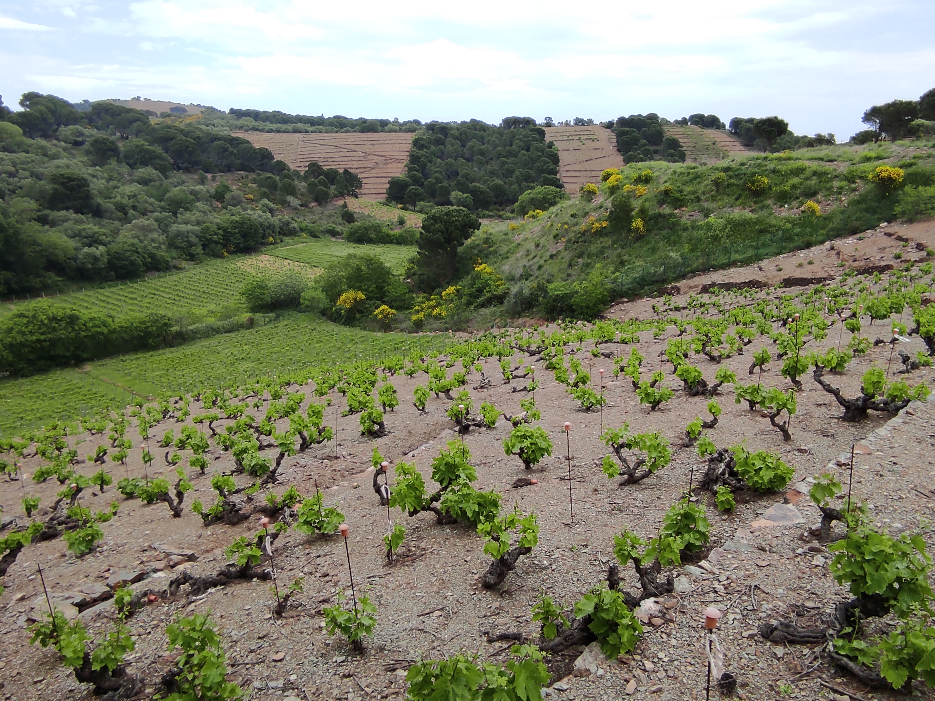 Photo n° 34 de l'avis de Sarda.h fait le 19/03/2018 à 14:03