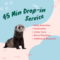 Pet Nation Omaha LLC - Photo 3 - Car repair in Omaha, NE, Omaha