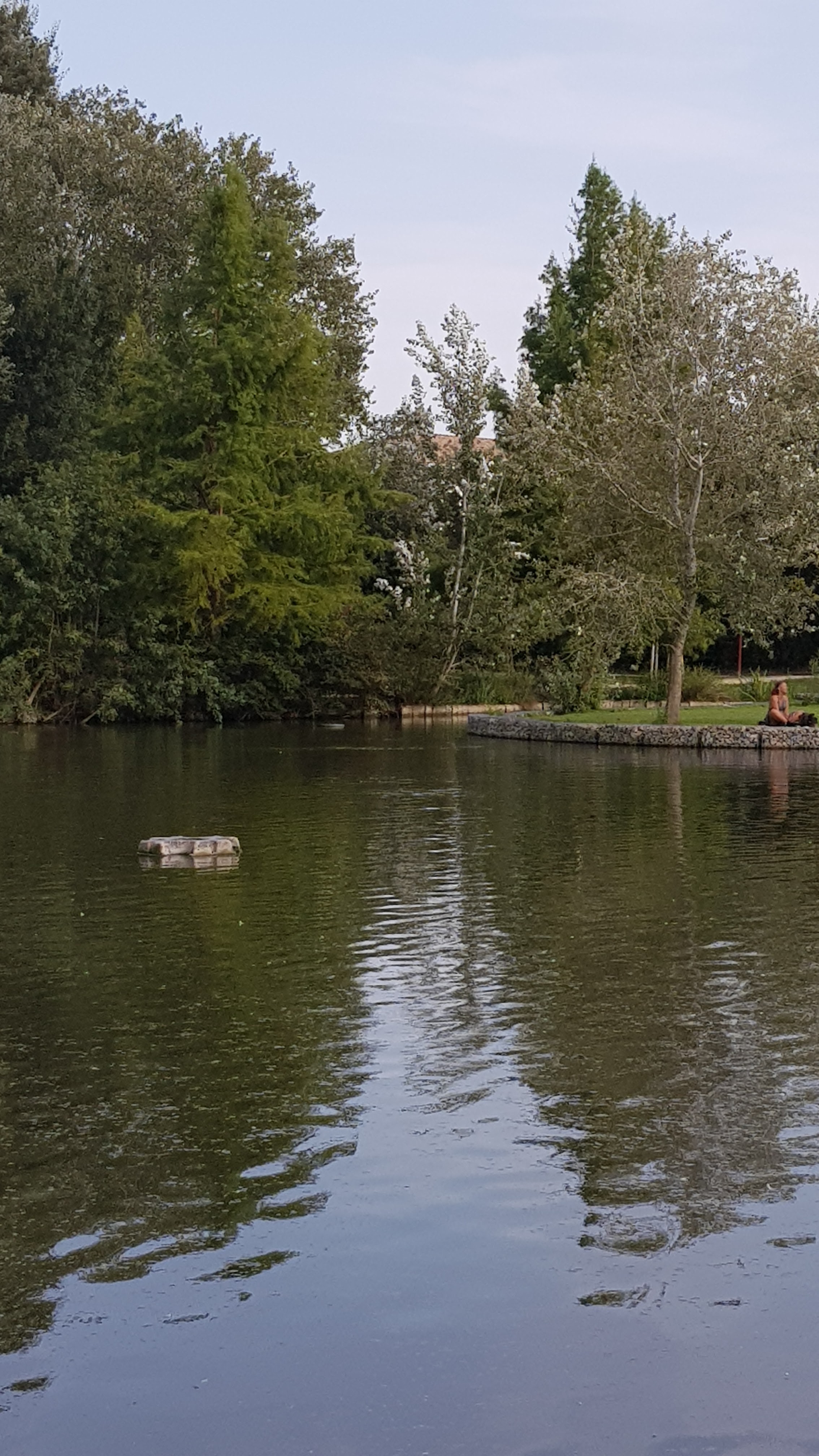 Photo n° 7 de l'avis de Marie.o fait le 30/08/2018 à 15:28