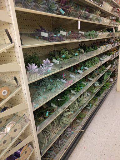 Craft Store «Hobby Lobby», reviews and photos, 489 Stillwater Ave, Bangor, ME 04401, USA