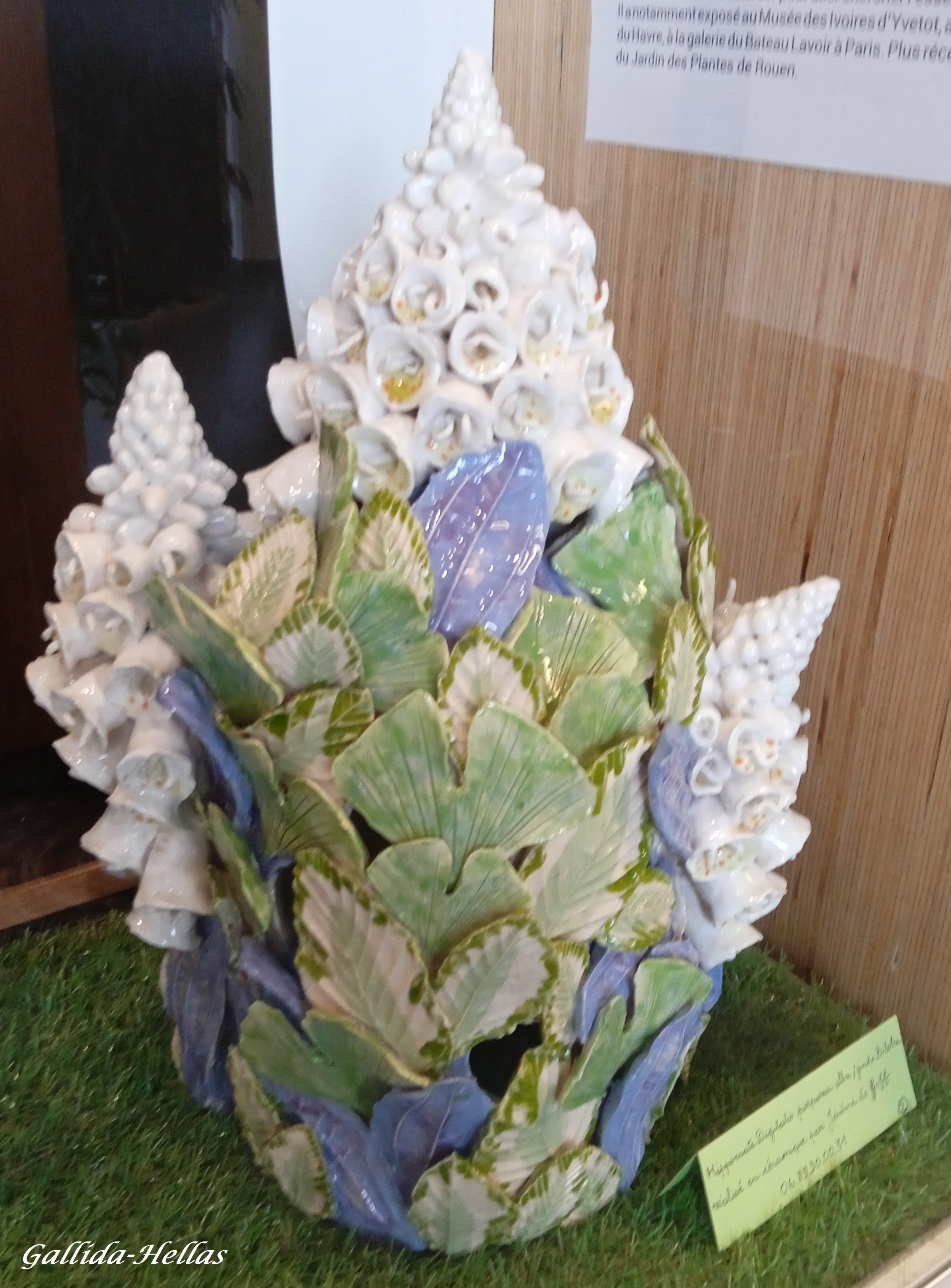 Photo n° 14 de l'avis de Gallida-Hellas. fait le 27/09/2023 à 03:43