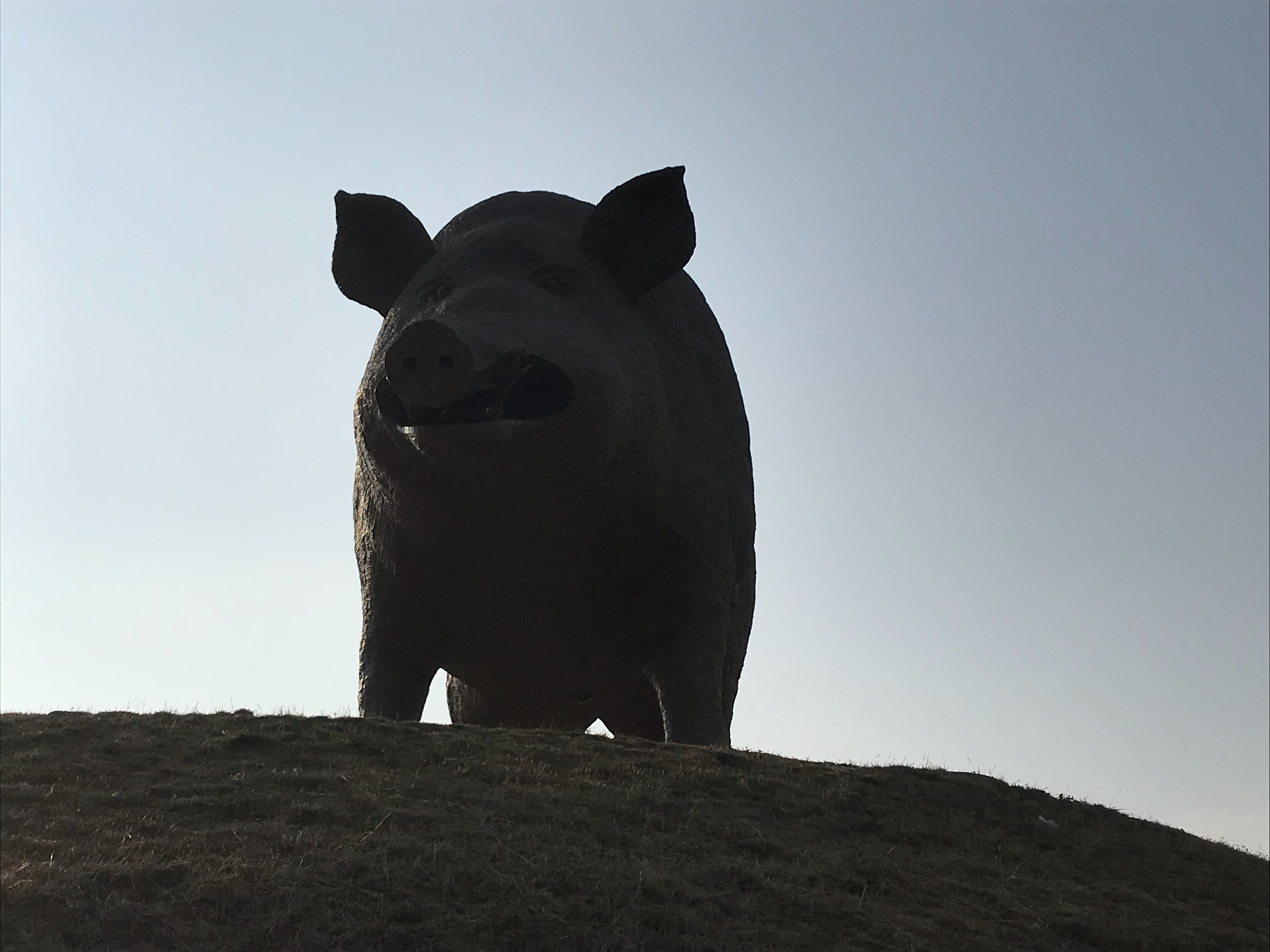 Photo n° 2 de l'avis de E. fait le 01/07/2018 à 13:42