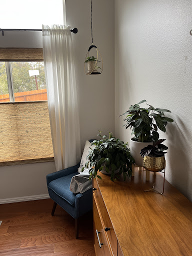 PlanterSam image