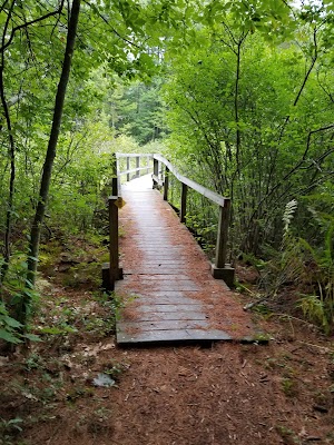 Pond Parish - photo 82