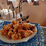 Photo n°3 de l'avis de Zanis. fait le 23/10/2023 à 14:07 sur le  Chiosco Ai Pioppi Di Siviero Erika à Mesola