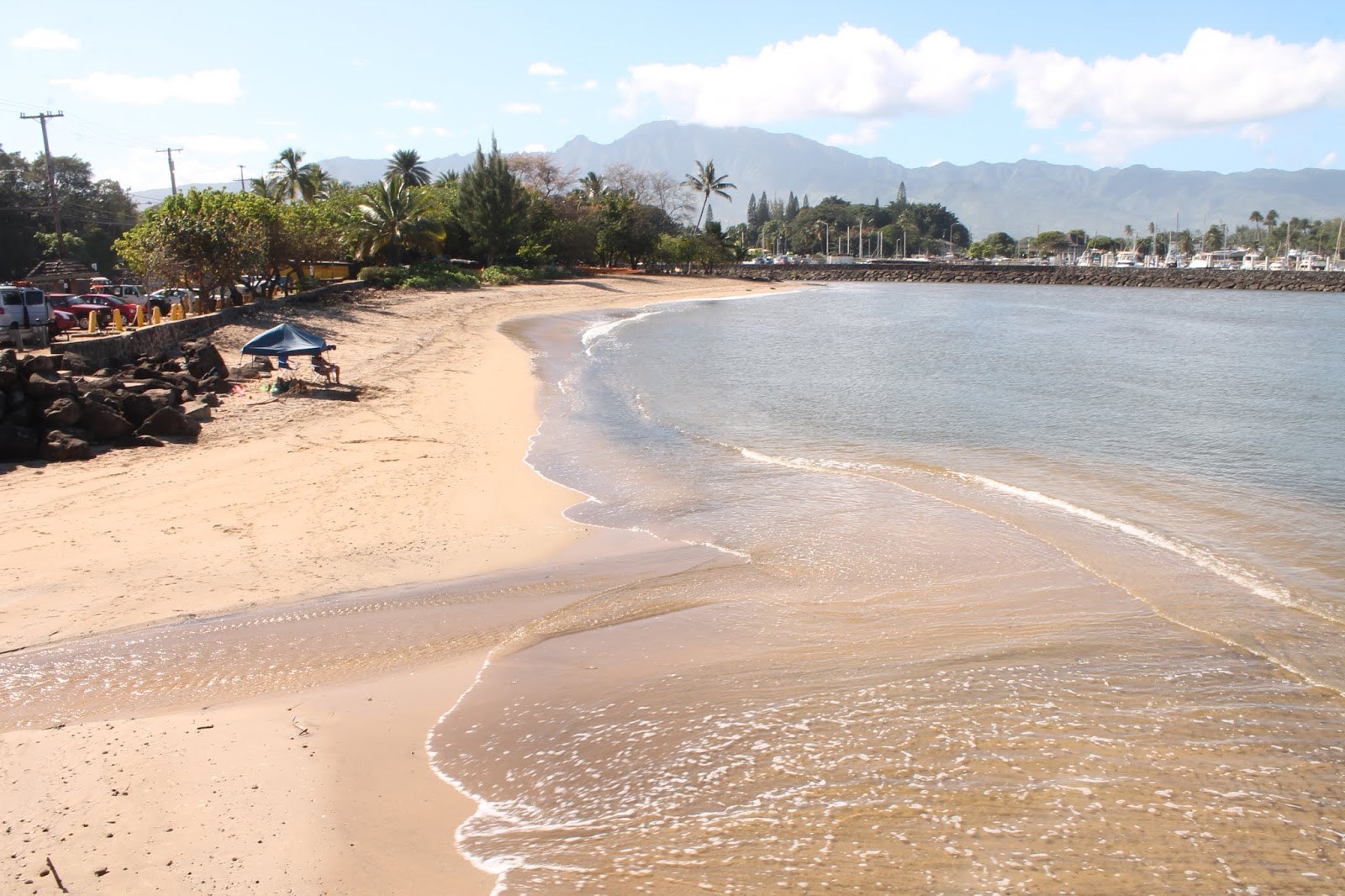 Hale'iwa Beach Park'in fotoğrafı imkanlar alanı