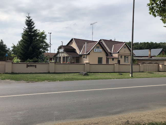 Kocsány János - Nefelejcs Panzió