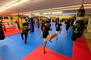 ExitAsia - Kickboxen, Thaiboxen, MMA, BJJ, Grappling und K1 image