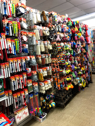 Variety Store «Dollar Store», reviews and photos, 384 Gratiot Ave, Charter Twp of Clinton, MI 48036, USA