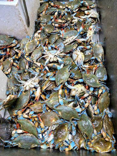 Grocery Store «Ben Thanh Plaza and Central Market», reviews and photos, 1818 E Pioneer Pkwy #100, Arlington, TX 76010, USA