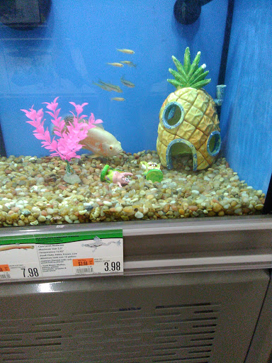 Pet Supply Store «Pet Supplies Plus», reviews and photos, 7041 Barker Cypress Rd, Cypress, TX 77433, USA