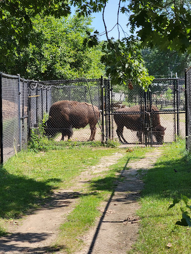 Zoo «Potawatomi Zoo», reviews and photos, 500 S Greenlawn Ave, South Bend, IN 46615, USA