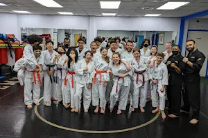 Massachusetts Taekwondo Academy image