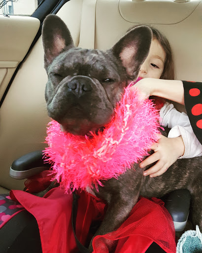 Pet Supply Store «Bark Avenue», reviews and photos, 3919 Park Dr, El Dorado Hills, CA 95762, USA