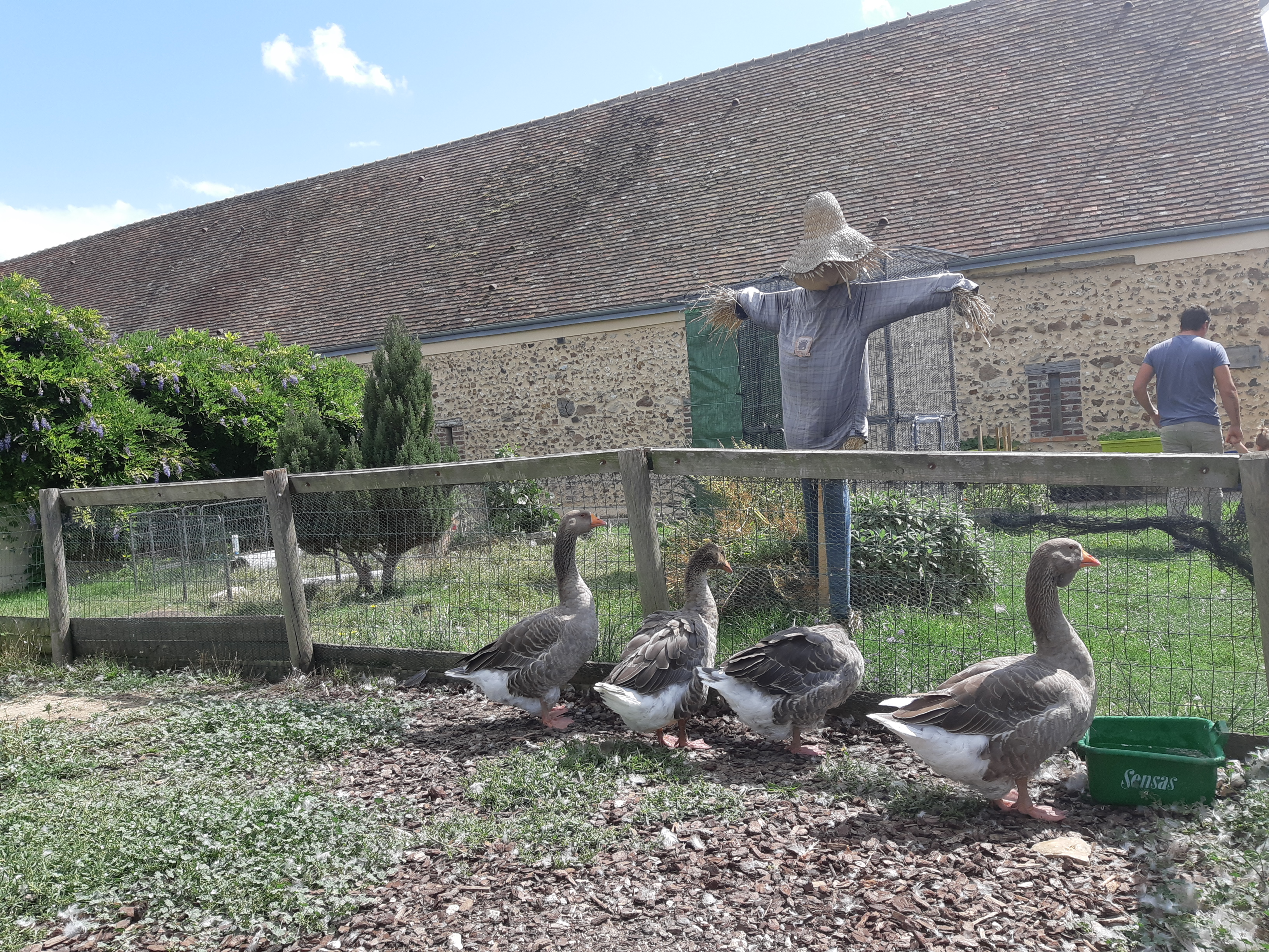 Photo n° 1 de l'avis de Lorine.o fait le 21/08/2019 à 08:47