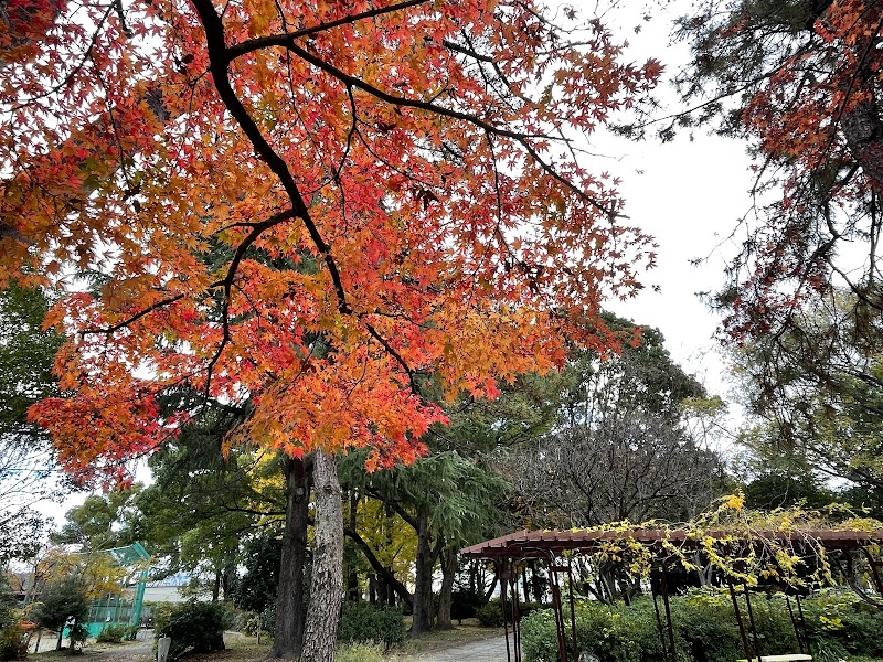 松葉公園