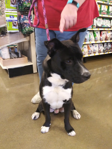 Pet Supply Store «PetSmart», reviews and photos, 4824 211th St, Matteson, IL 60443, USA