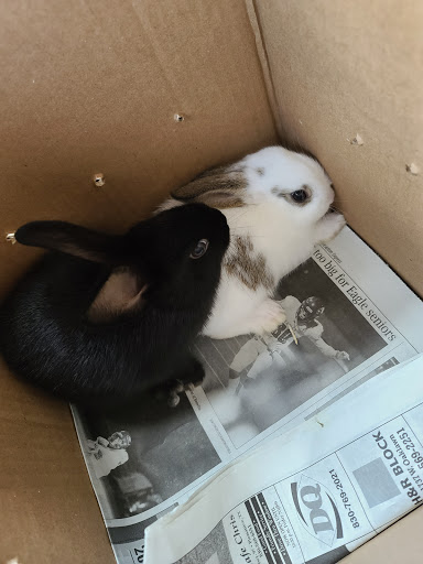 Pet Store «Oasis Tropicals», reviews and photos, 507 Commerce St, Pleasanton, TX 78064, USA