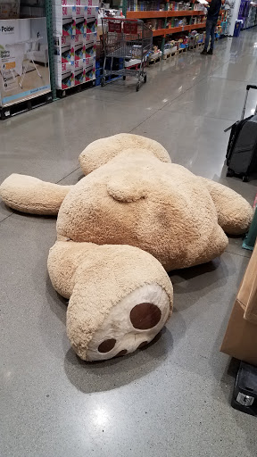Costco Wholesale image