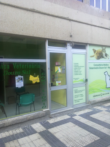 Clínica Veterinária Douro Sul