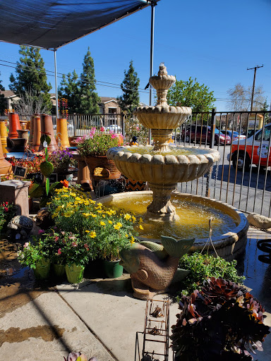 Florist «Plant Safari», reviews and photos, 653 N Central Ave, Upland, CA 91786, USA