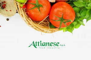 Attianese S.p.A. food Industry image