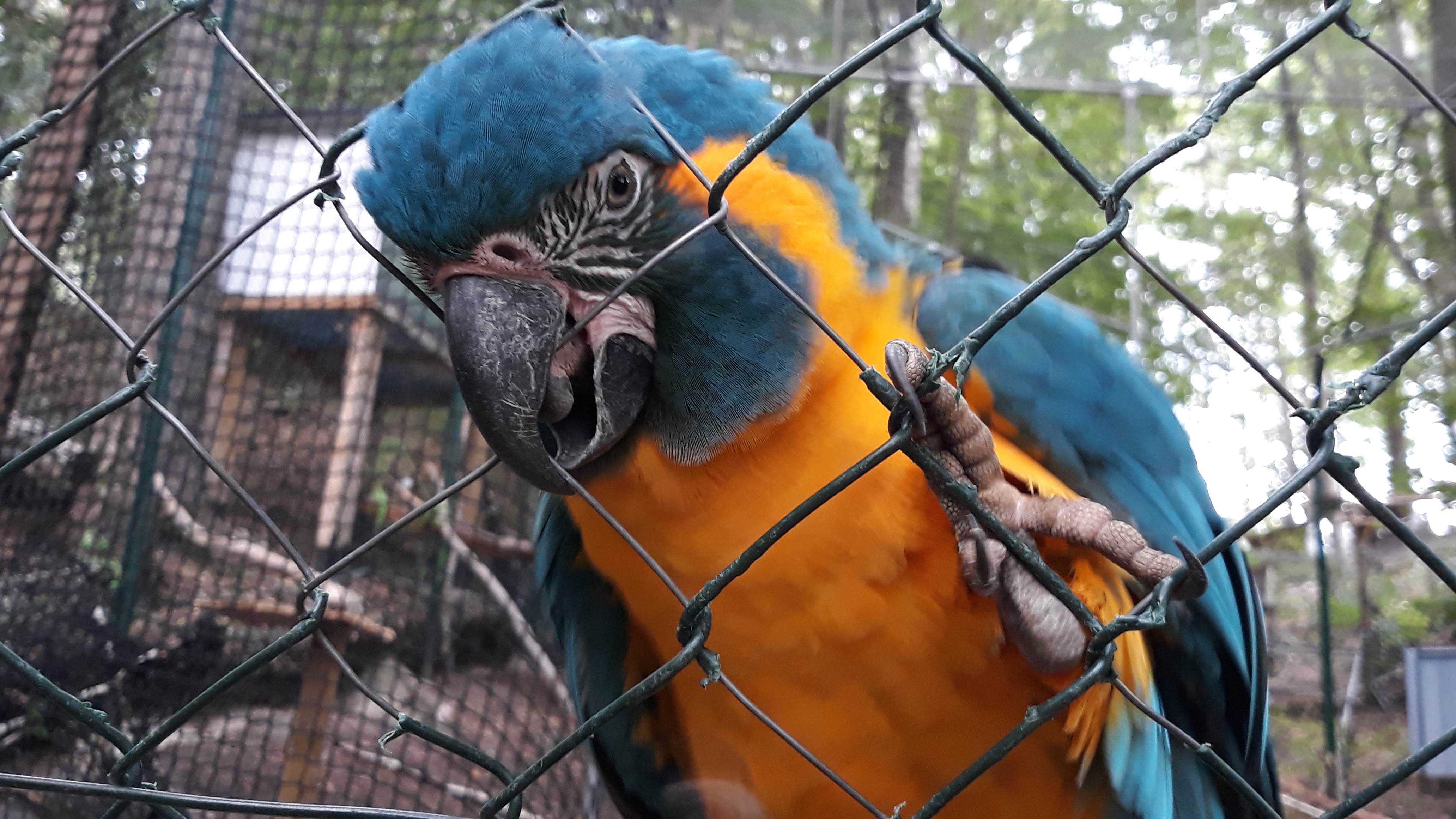 Photo n° 1 de l'avis de Carole.u fait le 17/08/2019 à 06:49