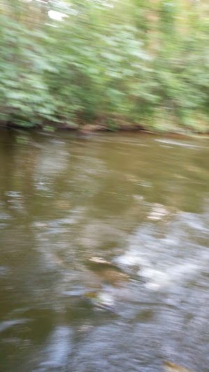 Locke County Park - photo 52