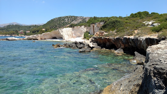 Crocodile beach