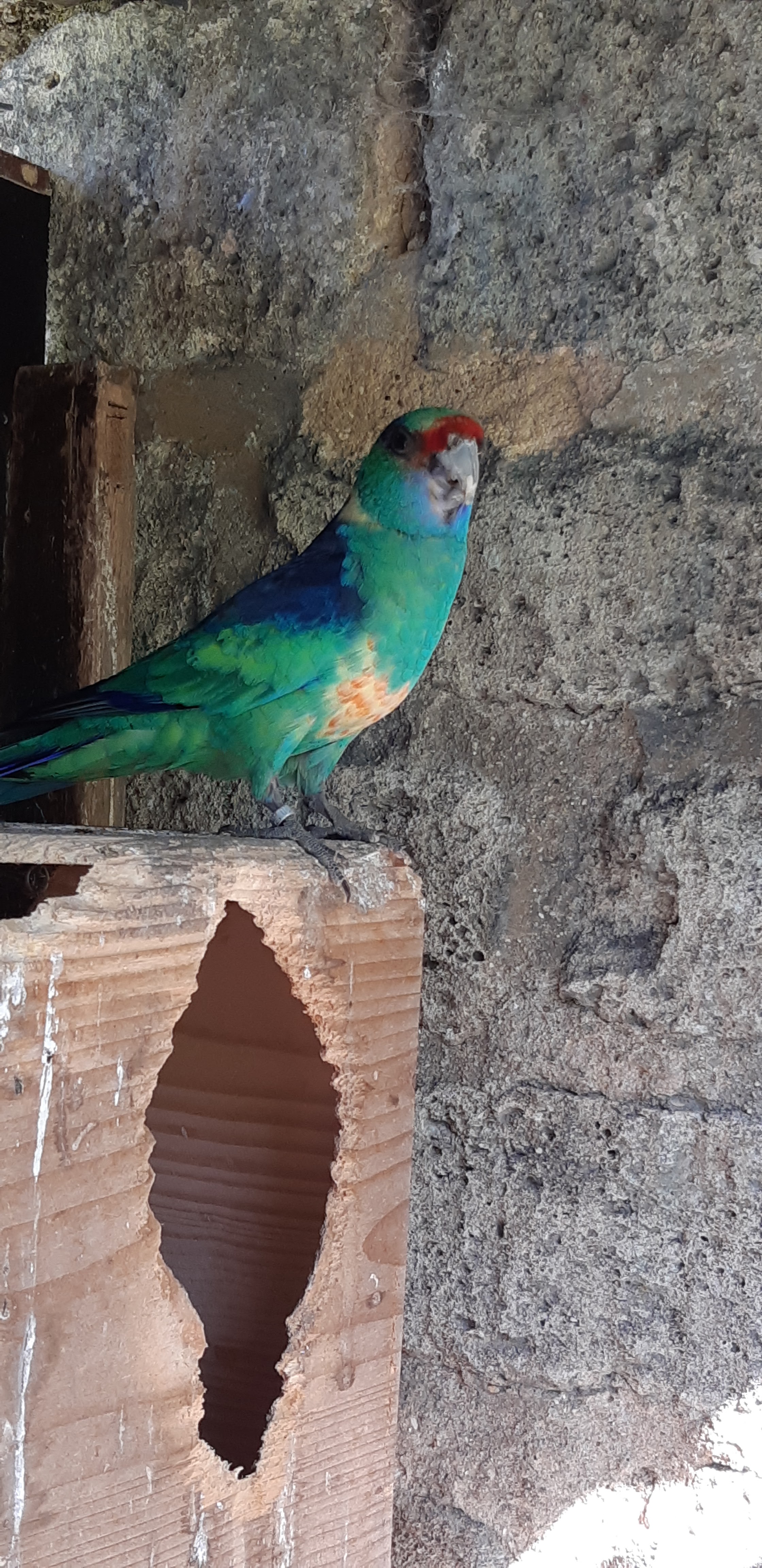 Photo n° 21 de l'avis de ANGÉLIQUE.A fait le 16/05/2019 à 10:37