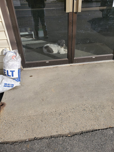 Auto Parts Store «Deerfoot Used Auto Parts, Inc.», reviews and photos, 6600 Sullivan Trail, Wind Gap, PA 18091, USA