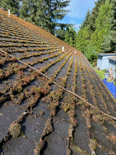 Roofing Contractor «Roof Life of Oregon», reviews and photos, 11445 SW Tiedeman Ave, Tigard, OR 97223, USA