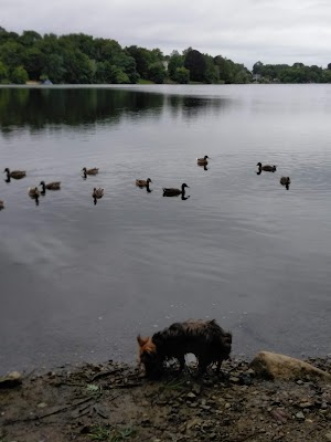 Winnekenni Park - photo 8