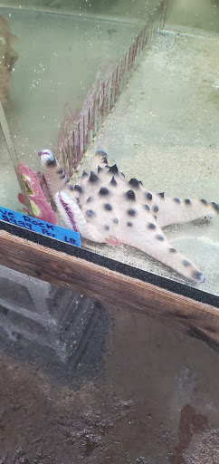 Tropical Fish Store «The Fish Store», reviews and photos, 2050 Chamblee Tucker Rd, Chamblee, GA 30341, USA