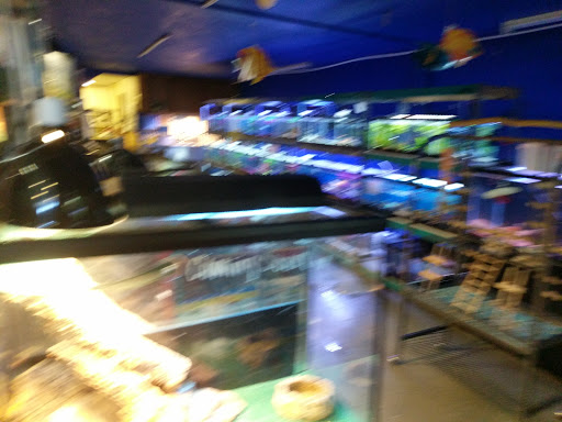 Pet Store «All About Pets LLC», reviews and photos, 52567 Columbia River Hwy, Scappoose, OR 97056, USA