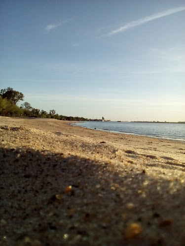 Comentarios y opiniones de Playa Municipal