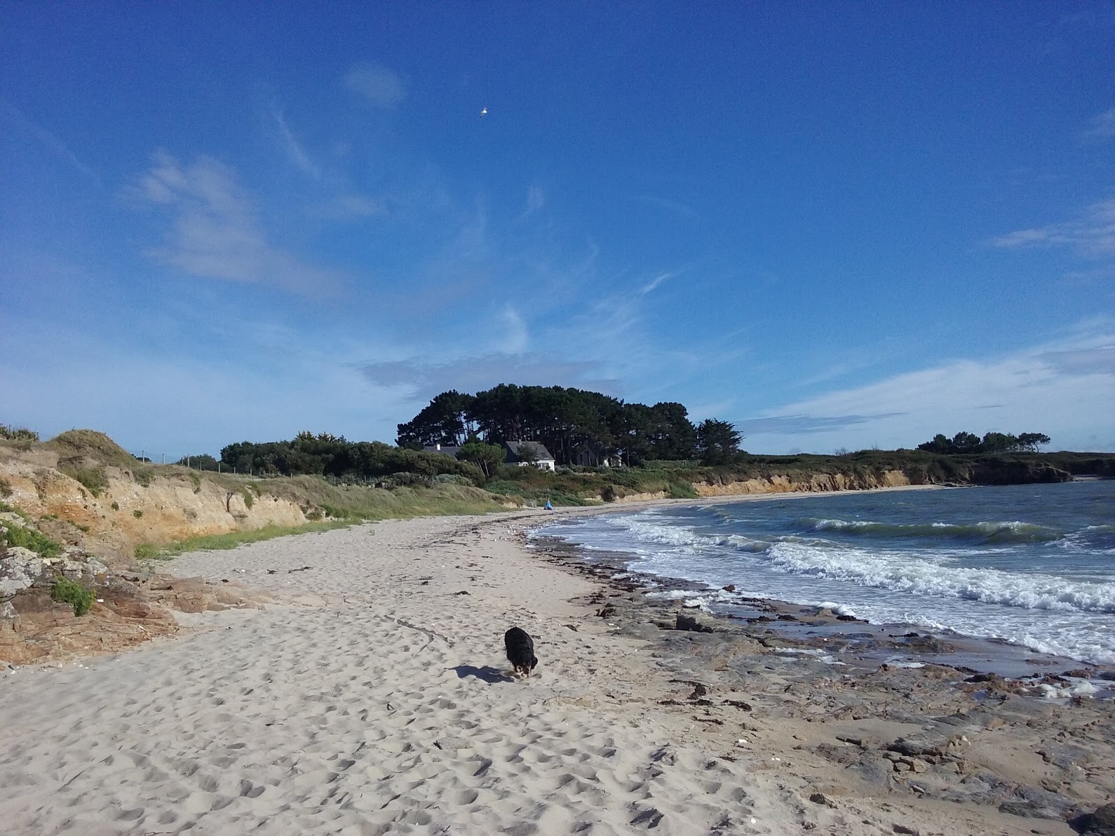 Foto von Plage Le Logui mit beiger sand & steine Oberfläche