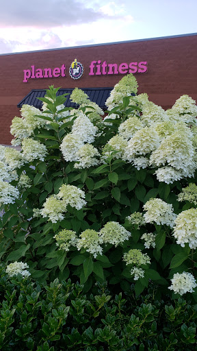 Gym «Planet Fitness», reviews and photos, 4125 Buford Dr NE, Buford, GA 30518, USA