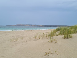 Zdjęcie Antechamber Bay Beach położony w naturalnym obszarze