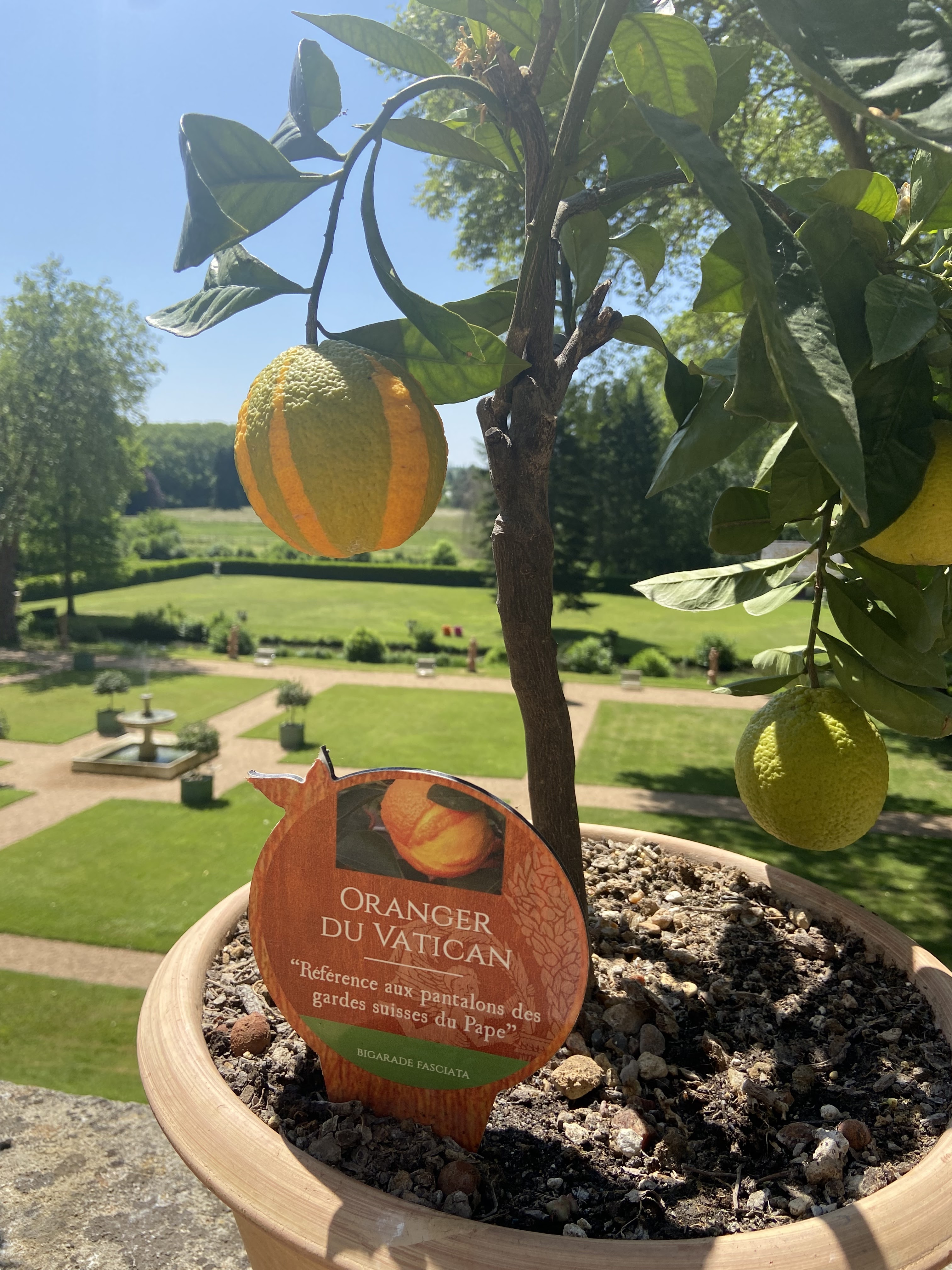 Photo n° 1 de l'avis de Hana.L fait le 03/06/2023 à 18:51