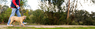 Photos of Badger Creek Boarding Kennels & Cattery