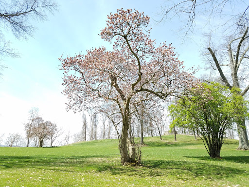 National Park «Friendship Hill National Historic Site», reviews and photos, 223 New Geneva Road, Point Marion, PA 15474, USA