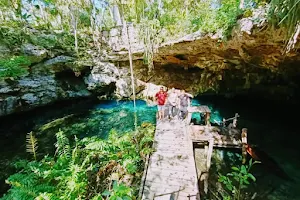 Green Divers Tulum image