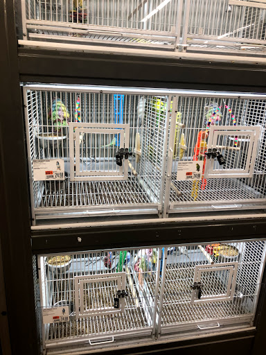 Pet Supply Store «Pet Supplies Plus», reviews and photos, 375 Paterson Ave #105, Wallington, NJ 07057, USA