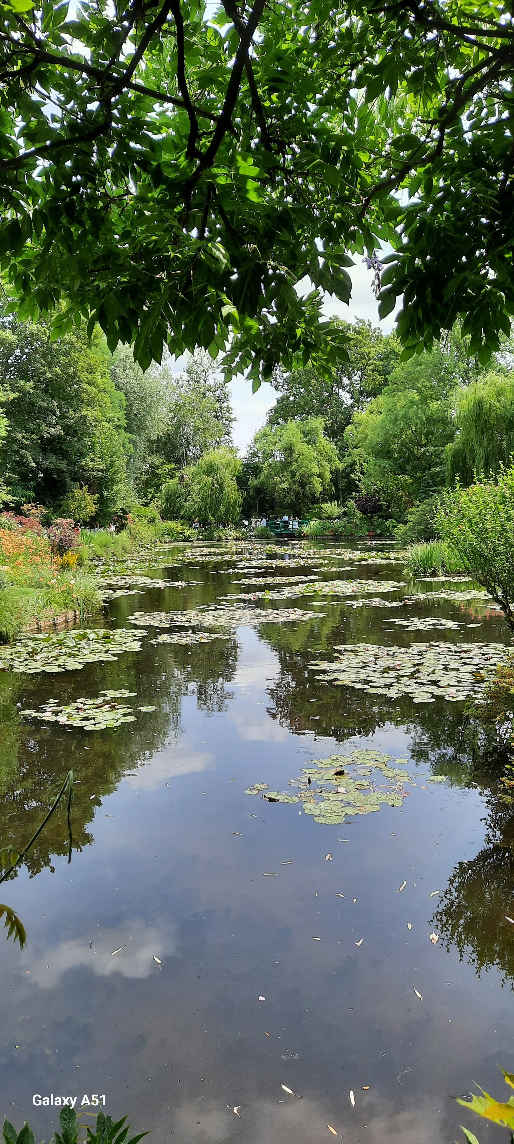 Photo n° 12 de l'avis de Evelyne.o fait le 14/07/2023 à 11:43