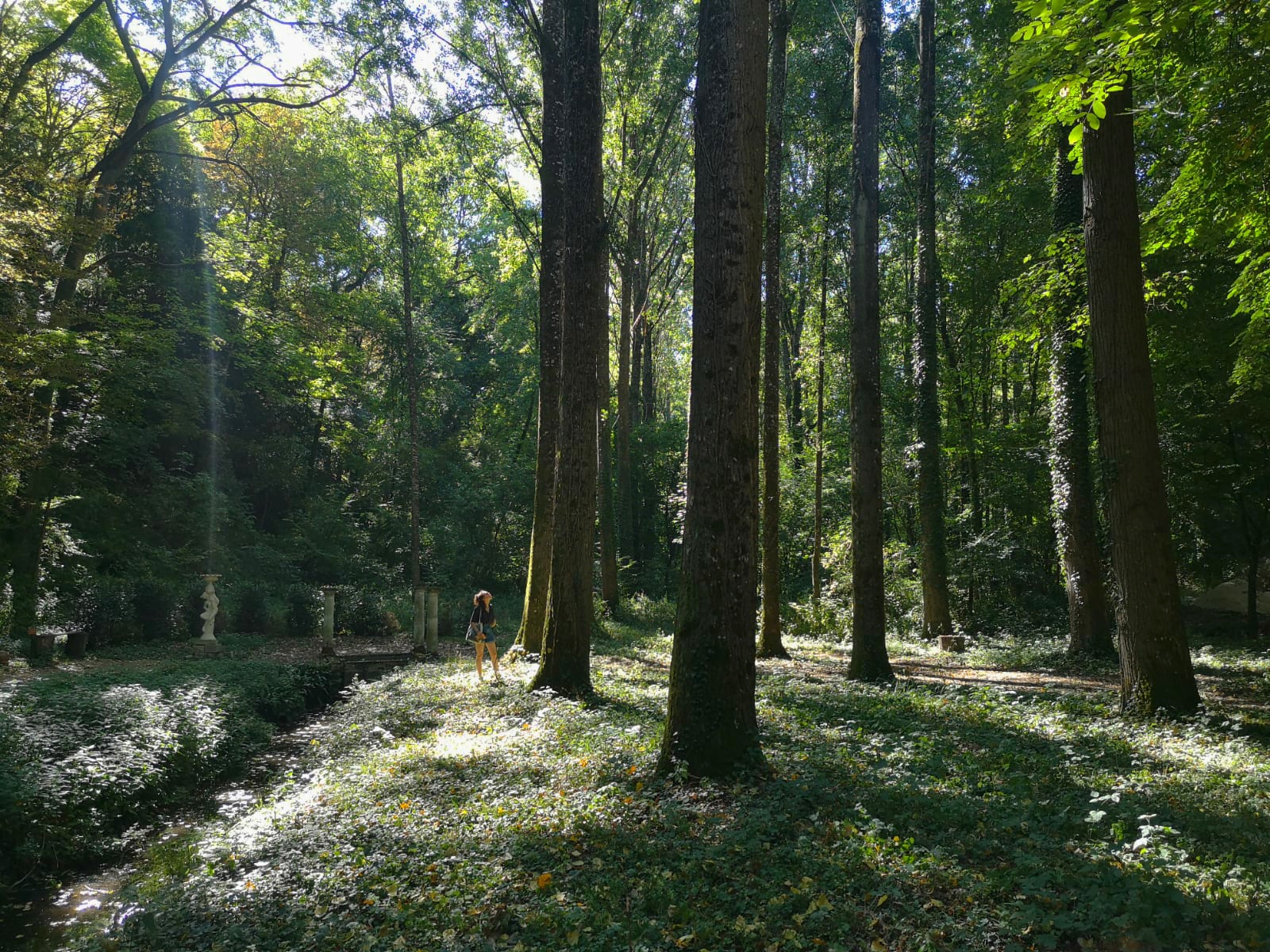 Photo n° 5 de l'avis de Sarah. fait le 19/10/2022 à 21:22