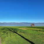 Photo n°7 de l'avis de Rossano.e fait le 23/01/2024 à 08:59 sur le  Ristorante Il Lido Solitario à Castiglione del Lago