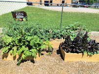 Tate's Child Development - Photo 4 - Car repair in Knoxville, TN, Knoxville