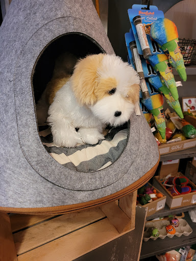 Pet Supply Store «3 Dogs 1 Cat», reviews and photos, 2472 Riopelle St, Detroit, MI 48207, USA